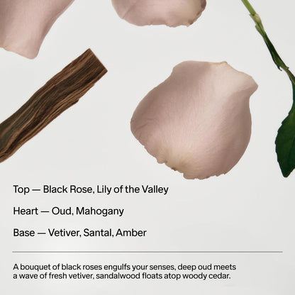 Natural Seaweed Deodorant Stick